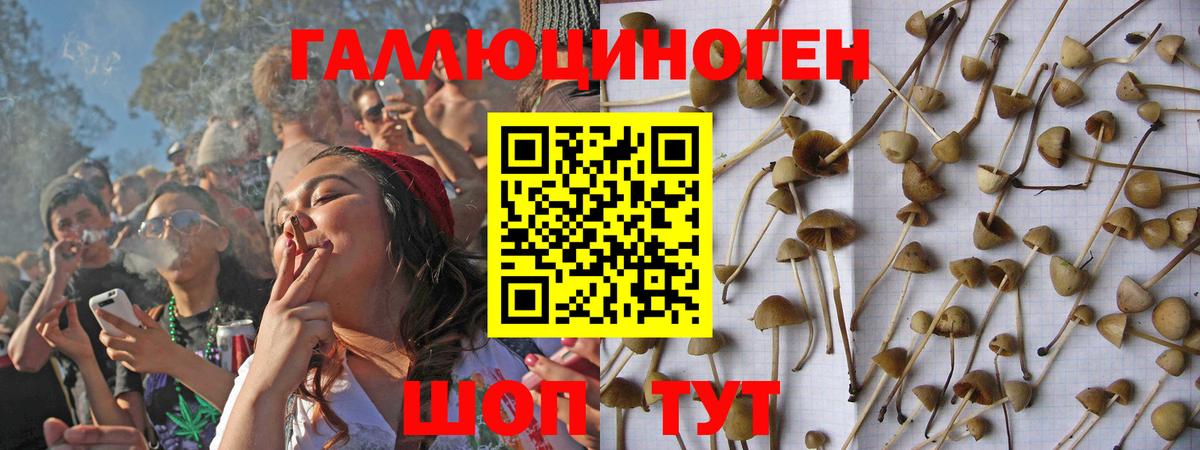 Королёв  Галлюциногенные грибы прущие грибы  купить   Псилоцибиновые грибы Psilocybine cubensis  Вход с VPN 